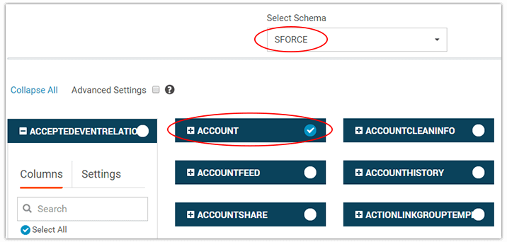salesforce data entities