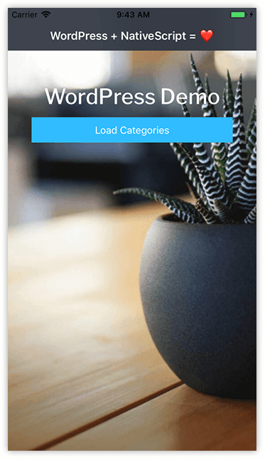 wordpress button screen