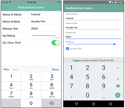 raddataform custom editors raddataform custom editors