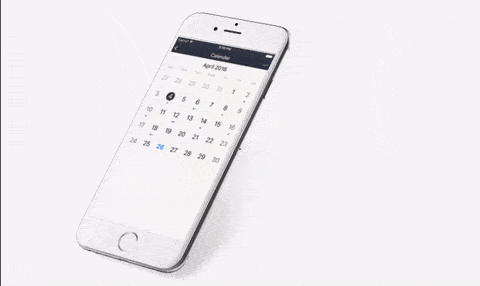 radcalendar in action